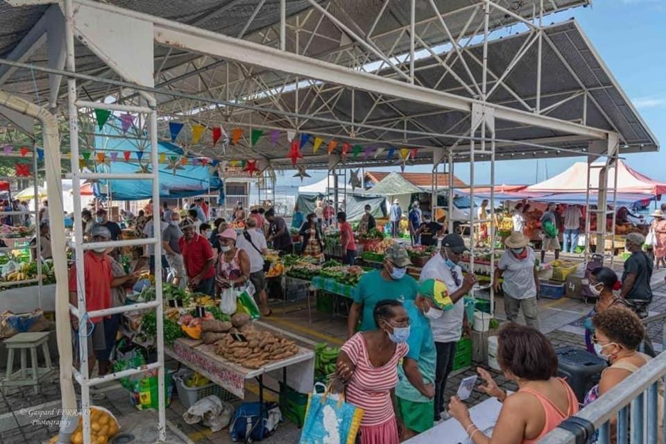 Maison De Vacances Beliosea Martinique 14 Rue D'Anjou Saint-Pierre Kültér fotó